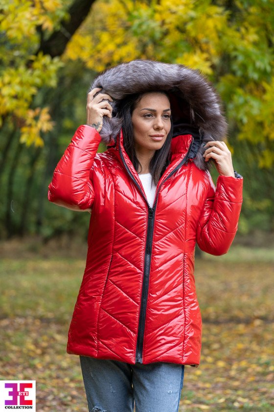 ЗИМНО ЯКЕ КАРОЛ