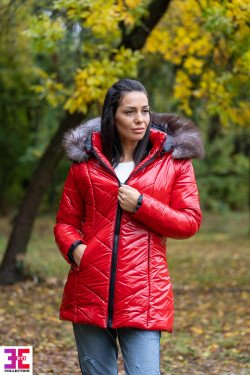 ЗИМНО ЯКЕ КАРОЛ