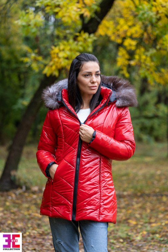 ЗИМНО ЯКЕ КАРОЛ