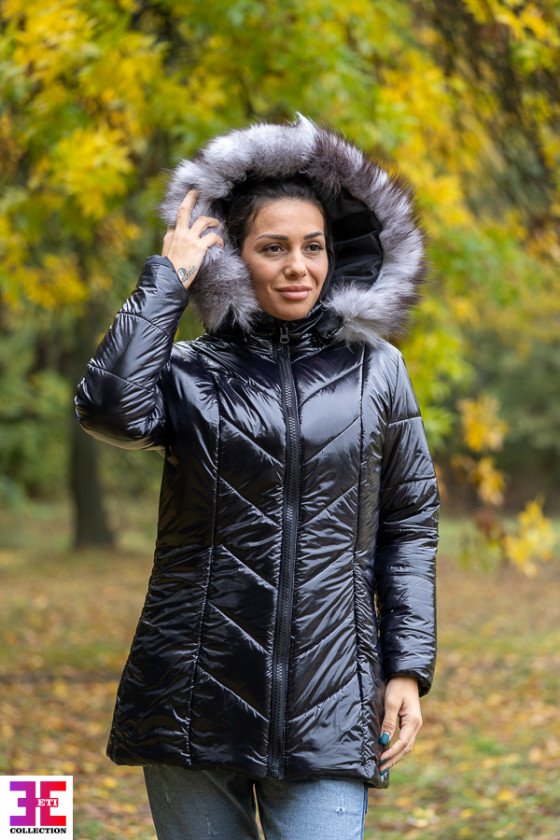 ЗИМНО ЯКЕ ДАРИЯ