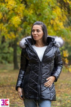 ЗИМНО ЯКЕ ДАРИЯ