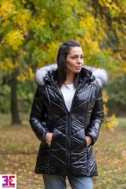 ЗИМНО ЯКЕ ДАРИЯ